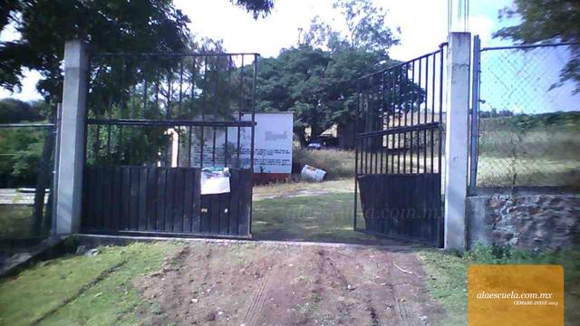 Entrada (vista previa)