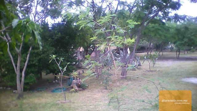 Áreas (vista previa)