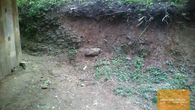 Áreas (vista previa)