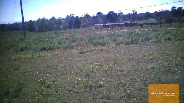 Entrada (vista previa)