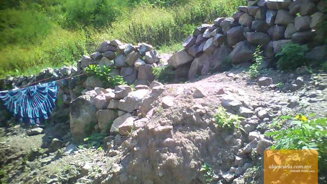 Entrada (vista previa)