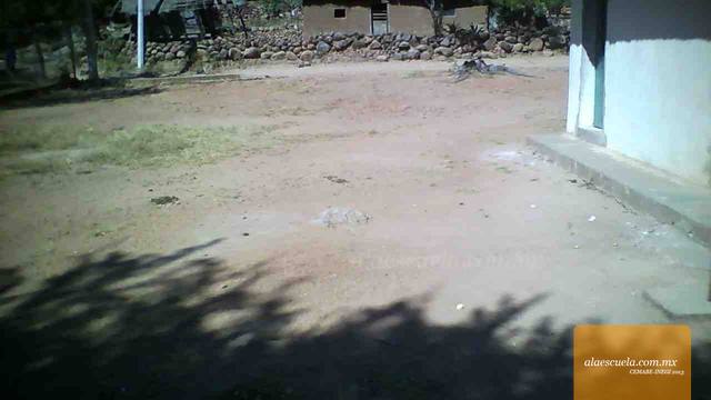 Entrada (vista previa)