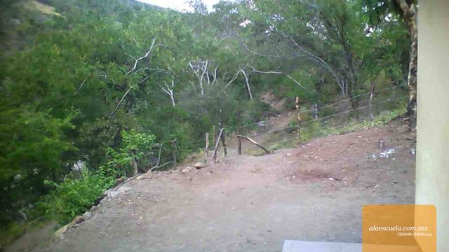 Entrada (vista previa)