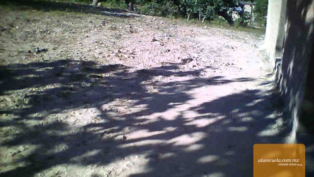 Áreas (vista previa)