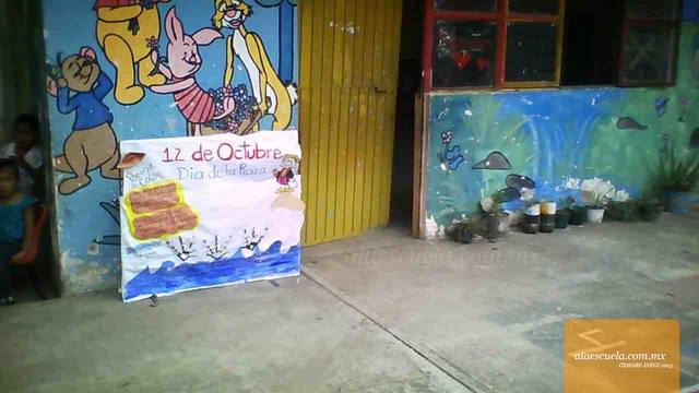 Entrada (vista previa)