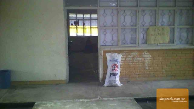 Entrada (vista previa)