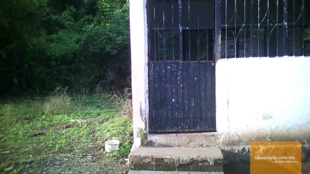 Entrada (vista previa)