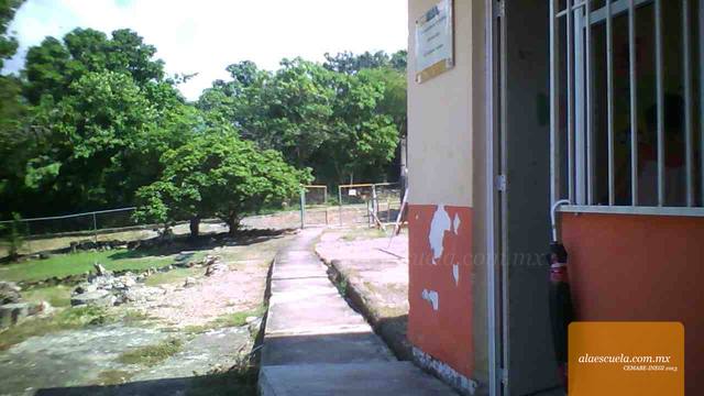 Entrada (vista previa)