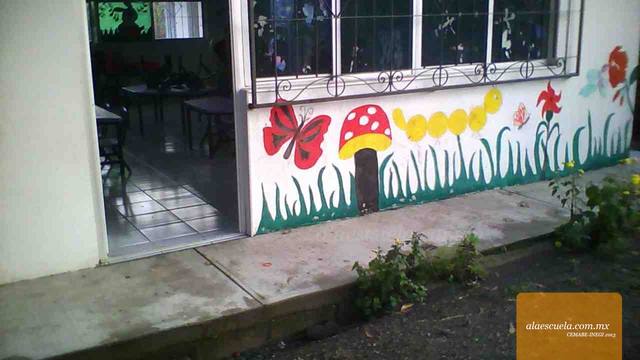 Entrada (vista previa)