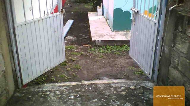 Entrada (vista previa)