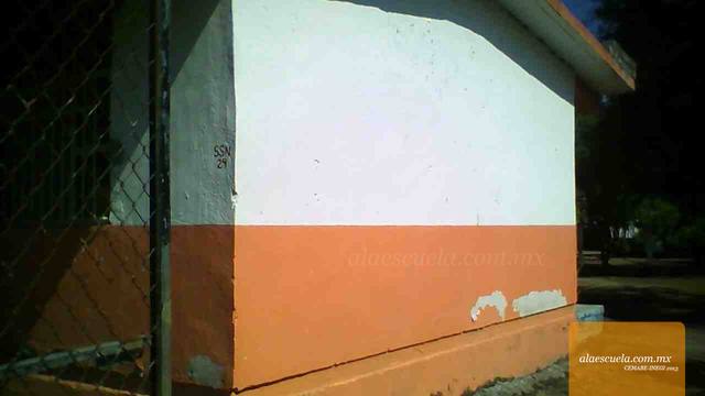 Entrada (vista previa)