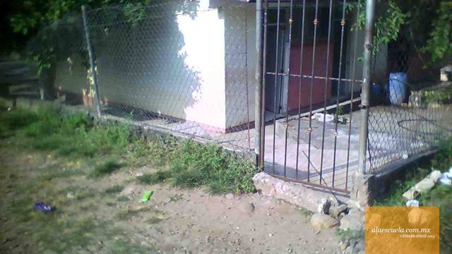 Entrada (vista previa)