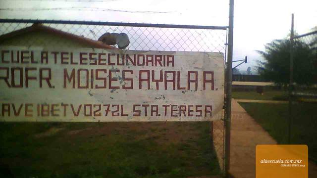 Entrada (vista previa)