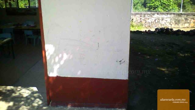 Entrada (vista previa)