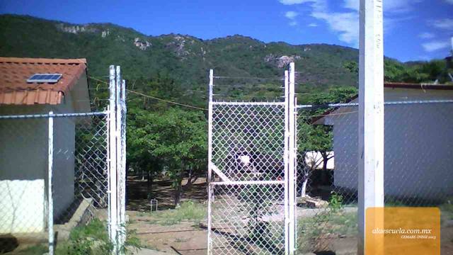 Entrada (vista previa)