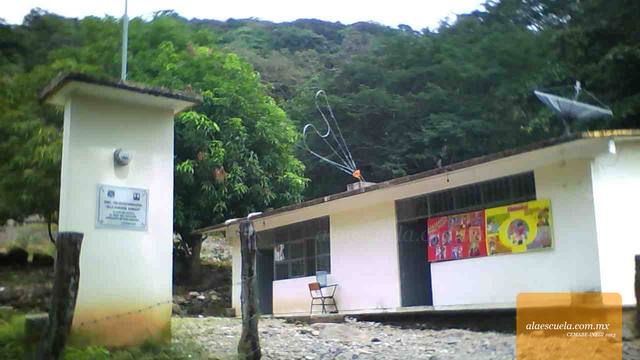 Entrada (vista previa)