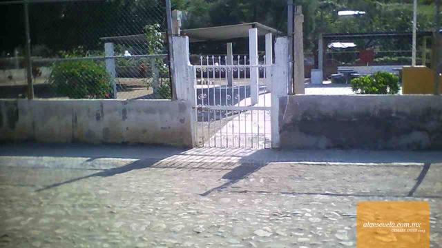 Entrada (vista previa)