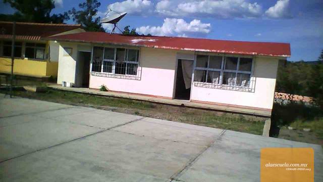 Entrada (vista previa)