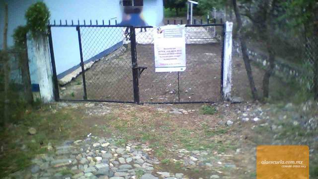 Entrada (vista previa)