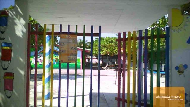 Entrada (vista previa)