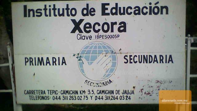 Entrada (vista previa)