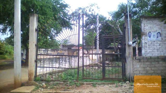 Entrada (vista previa)