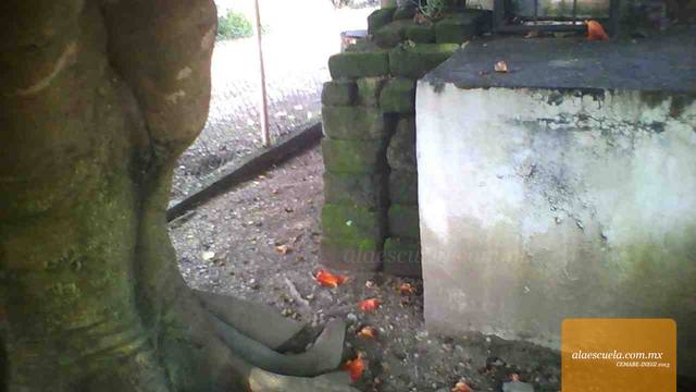 Áreas (vista previa)