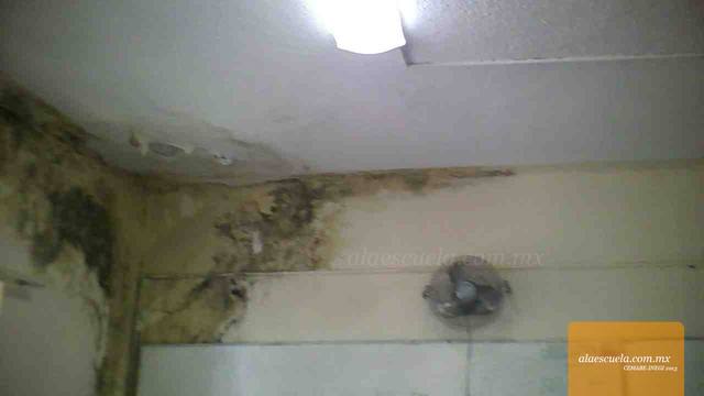 Aulas (vista previa)