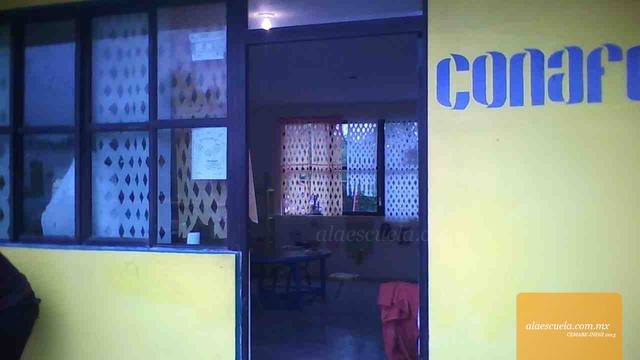 Entrada (vista previa)