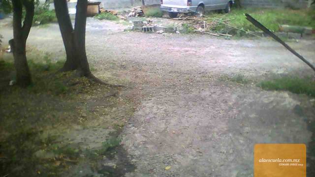 Áreas (vista previa)