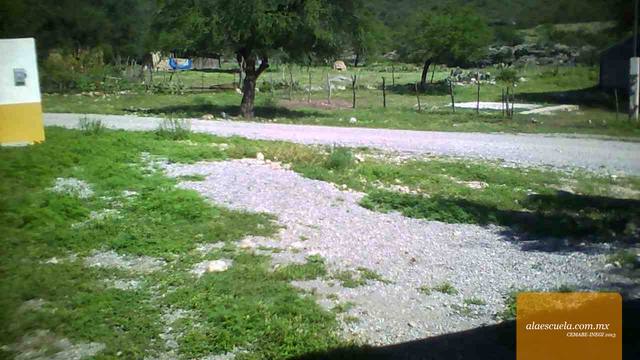 Entrada (vista previa)