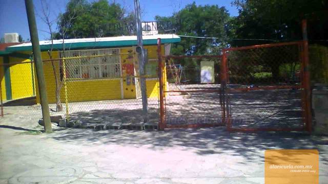 Entrada (vista previa)