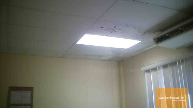 Aulas (vista previa)