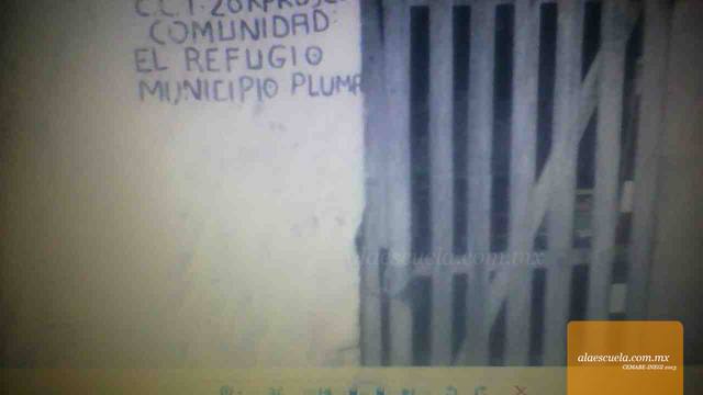 Entrada (vista previa)