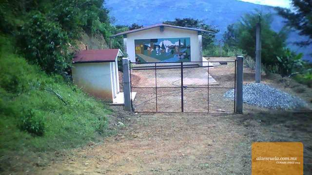 Entrada (vista previa)