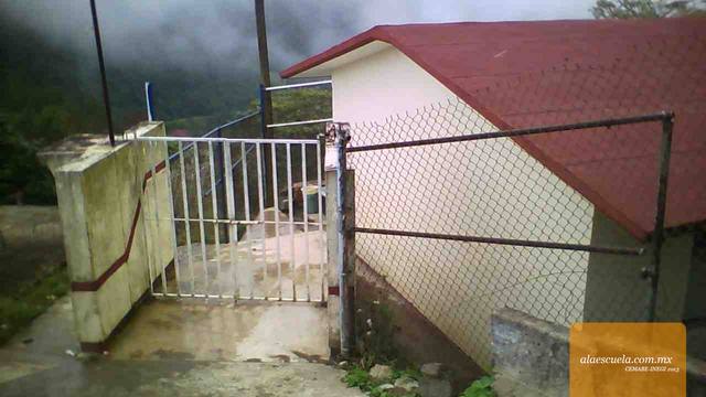 Entrada (vista previa)