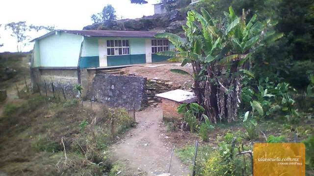 Entrada (vista previa)