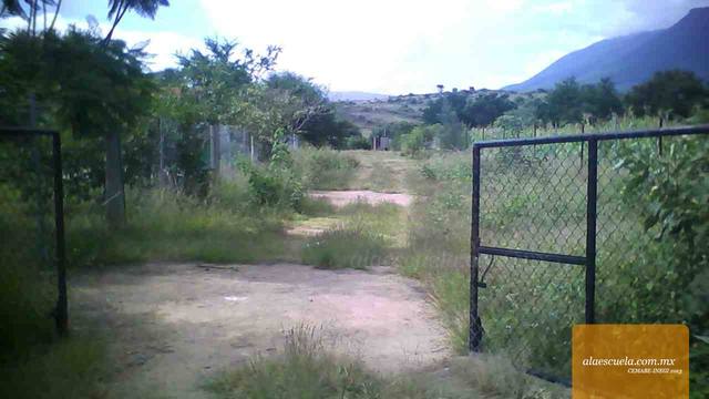 Entrada (vista previa)