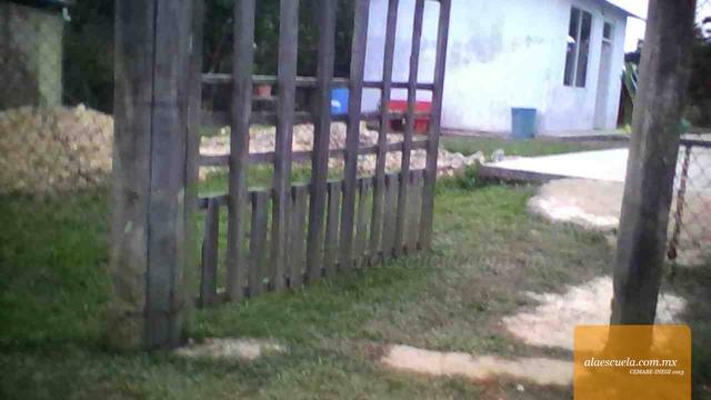 Entrada (vista previa)