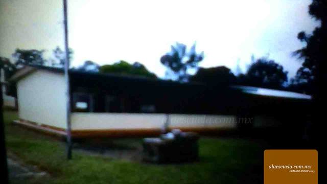 Entrada (vista previa)