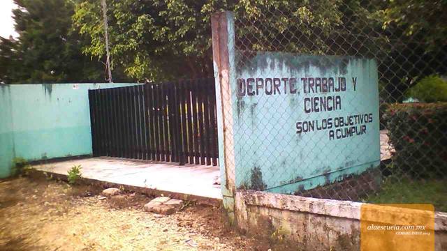 Entrada (vista previa)