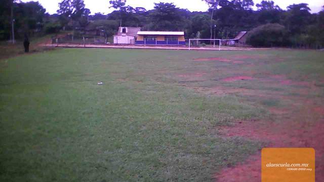 Entrada (vista previa)