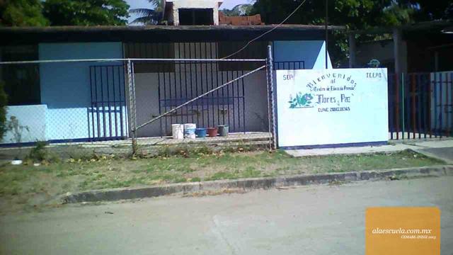 Entrada (vista previa)