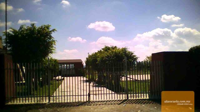 Entrada (vista previa)