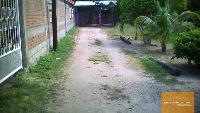 Entrada (vista previa)