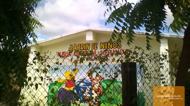 Entrada (vista previa)