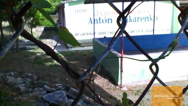 Entrada (vista previa)