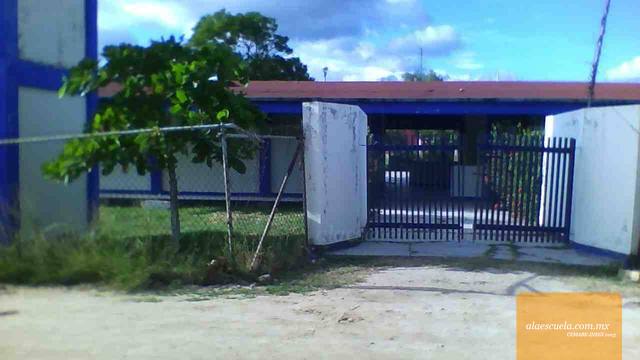 Entrada (vista previa)