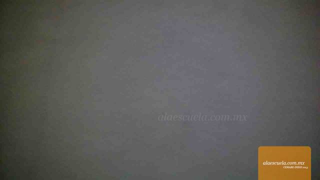 Entrada (vista previa)