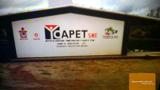 Entrada (vista previa)